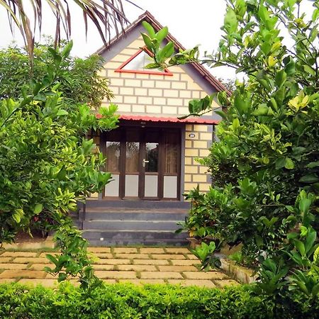 Wild Wadi Cottages Malanka Екстер'єр фото